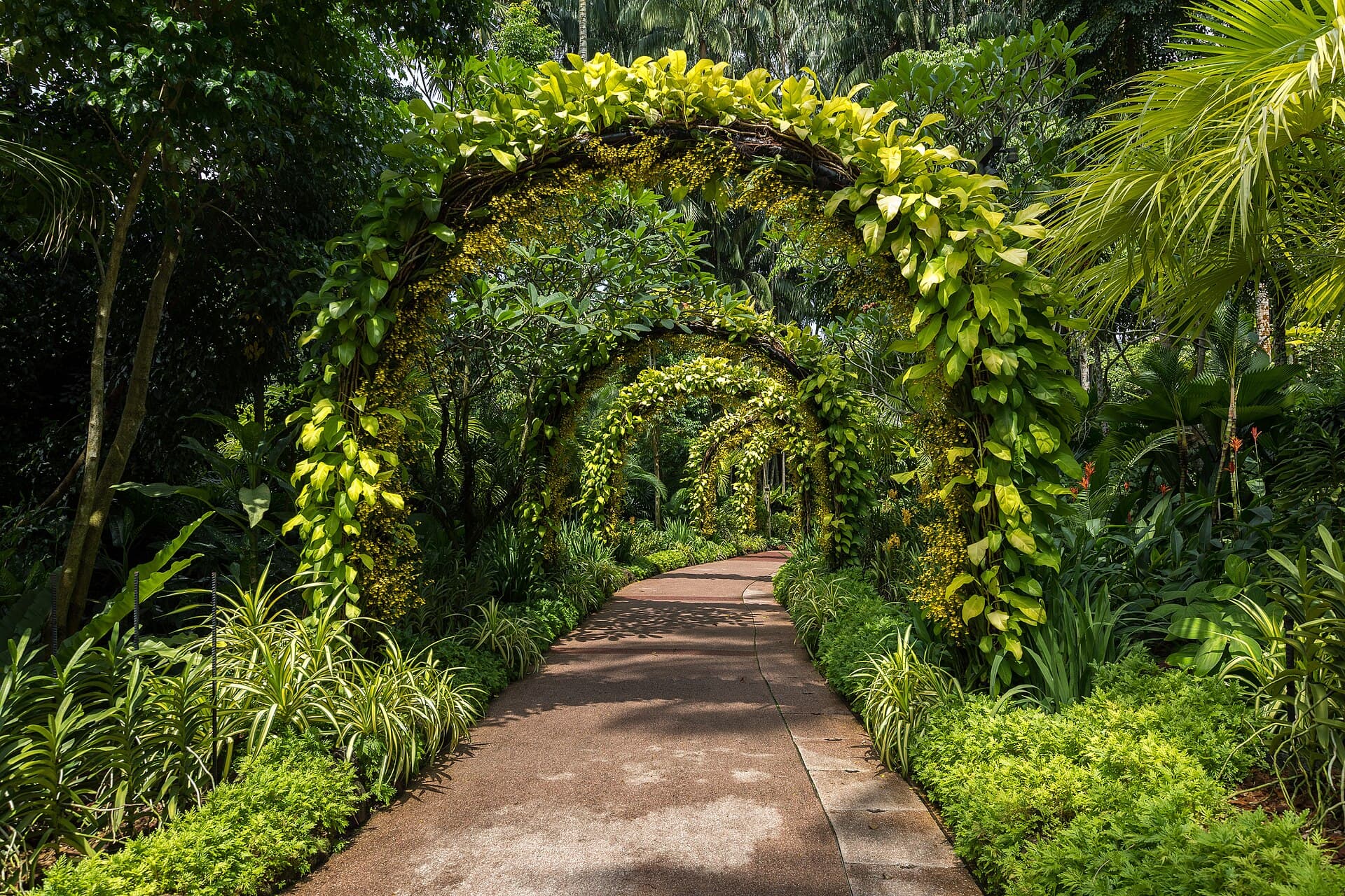 An arched walkway in the National Orchid Garden